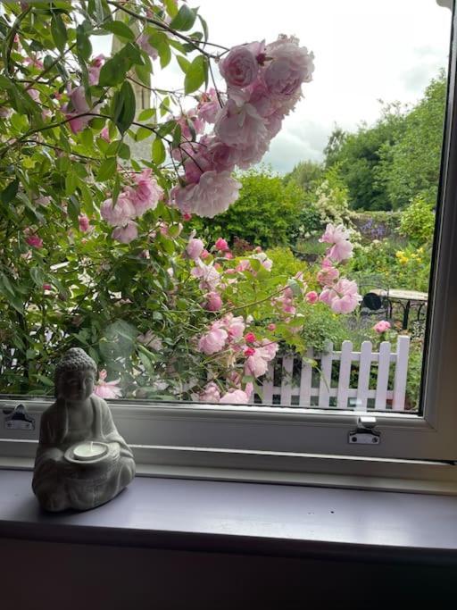 Lilac Cottage Morpeth Northumberland Экстерьер фото
